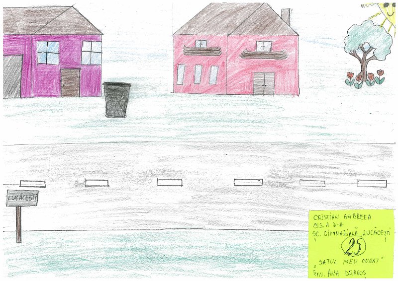 25_Andreea CRISTIAN_Cl IV_Lucacesti.jpg